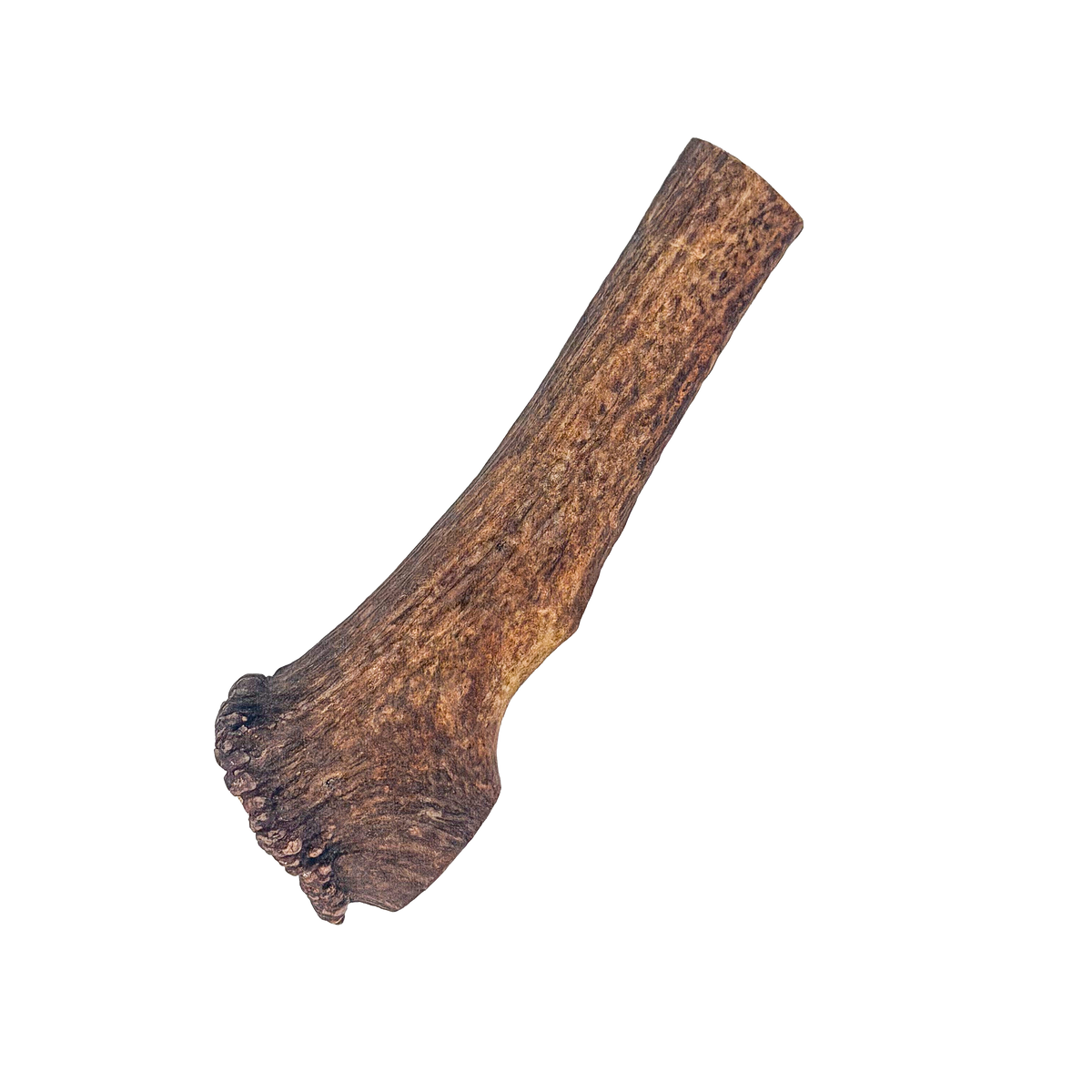 Jumbo Elk Antler Chew