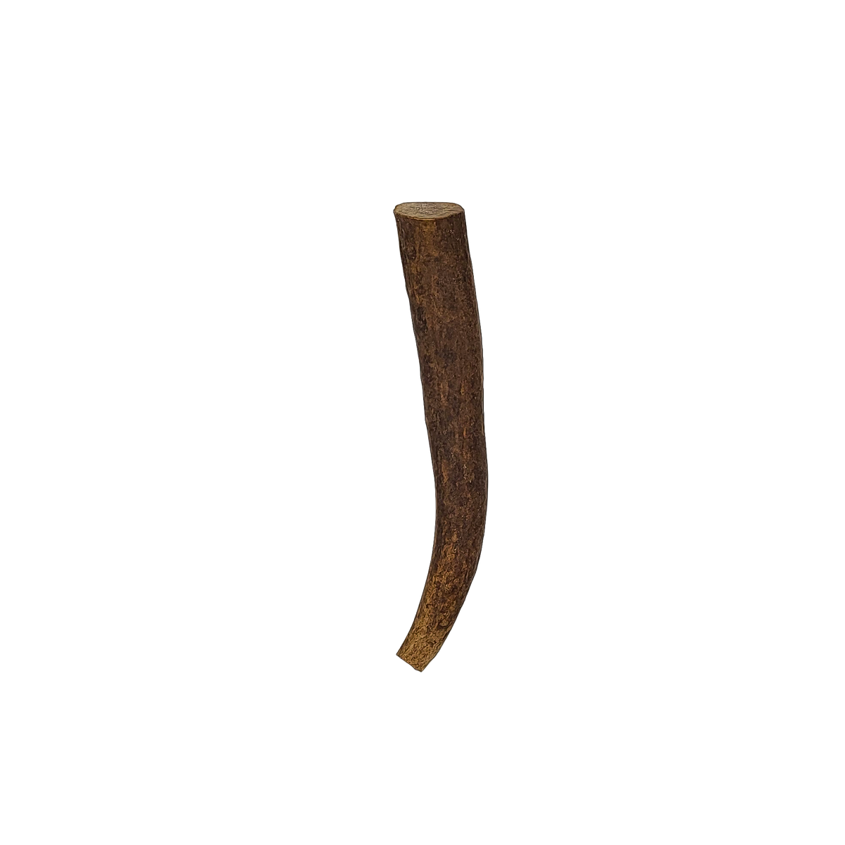 Medium Elk Antler Chew