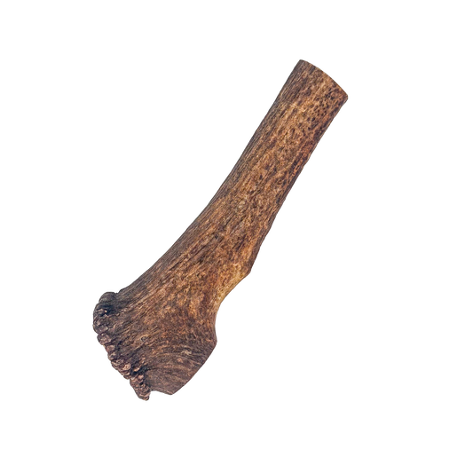 Jumbo Elk Antler Chew