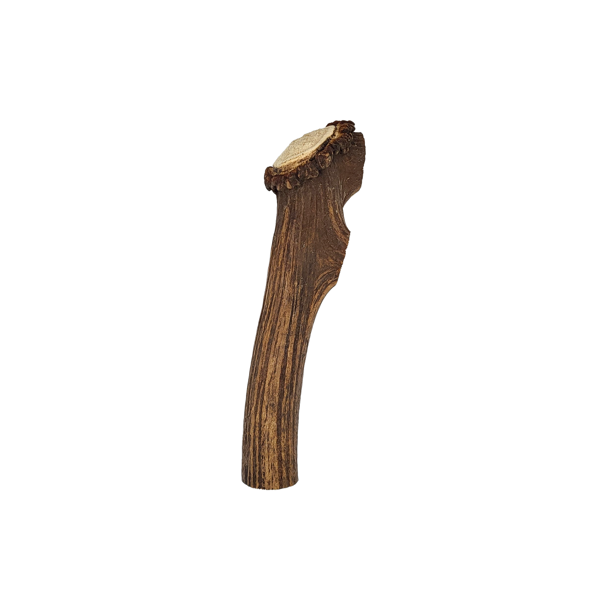 Large Elk Antler Chew