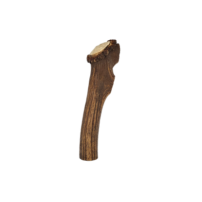 Large Elk Antler Chew