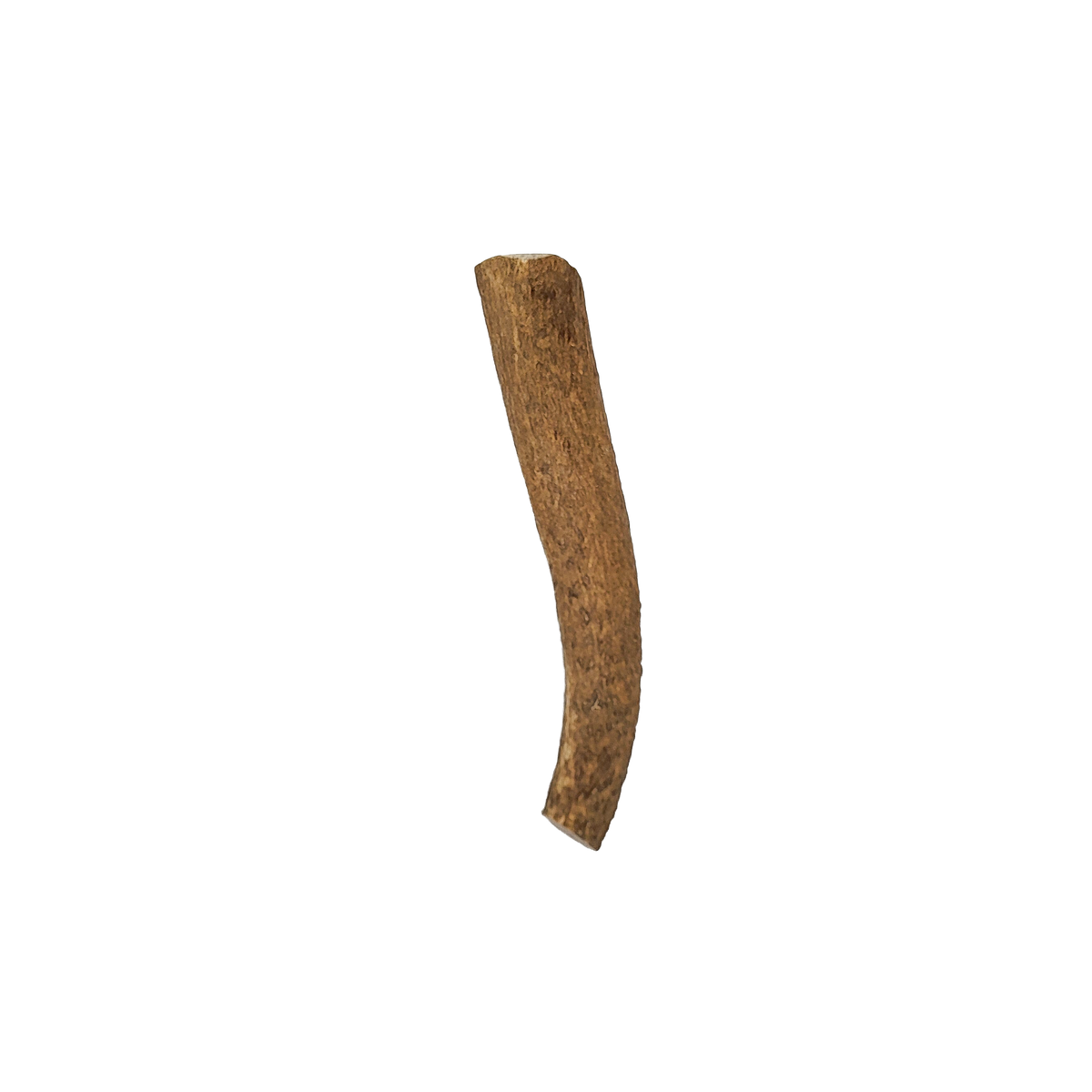 Large Elk Antler Chew