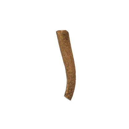 Large Elk Antler Chew