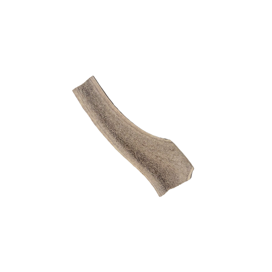 Large Split Elk Antler Chew