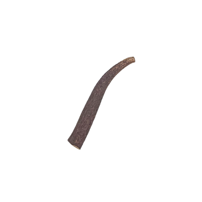 Medium Elk Antler Chew