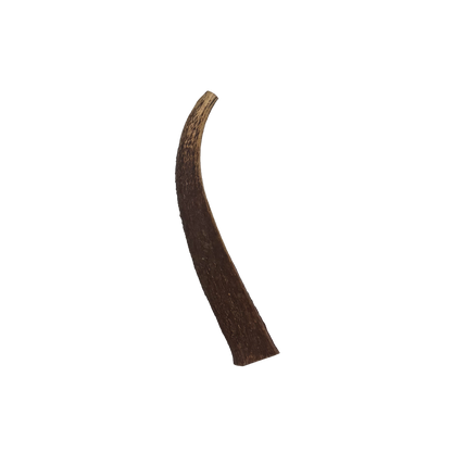 Medium Elk Antler Chew
