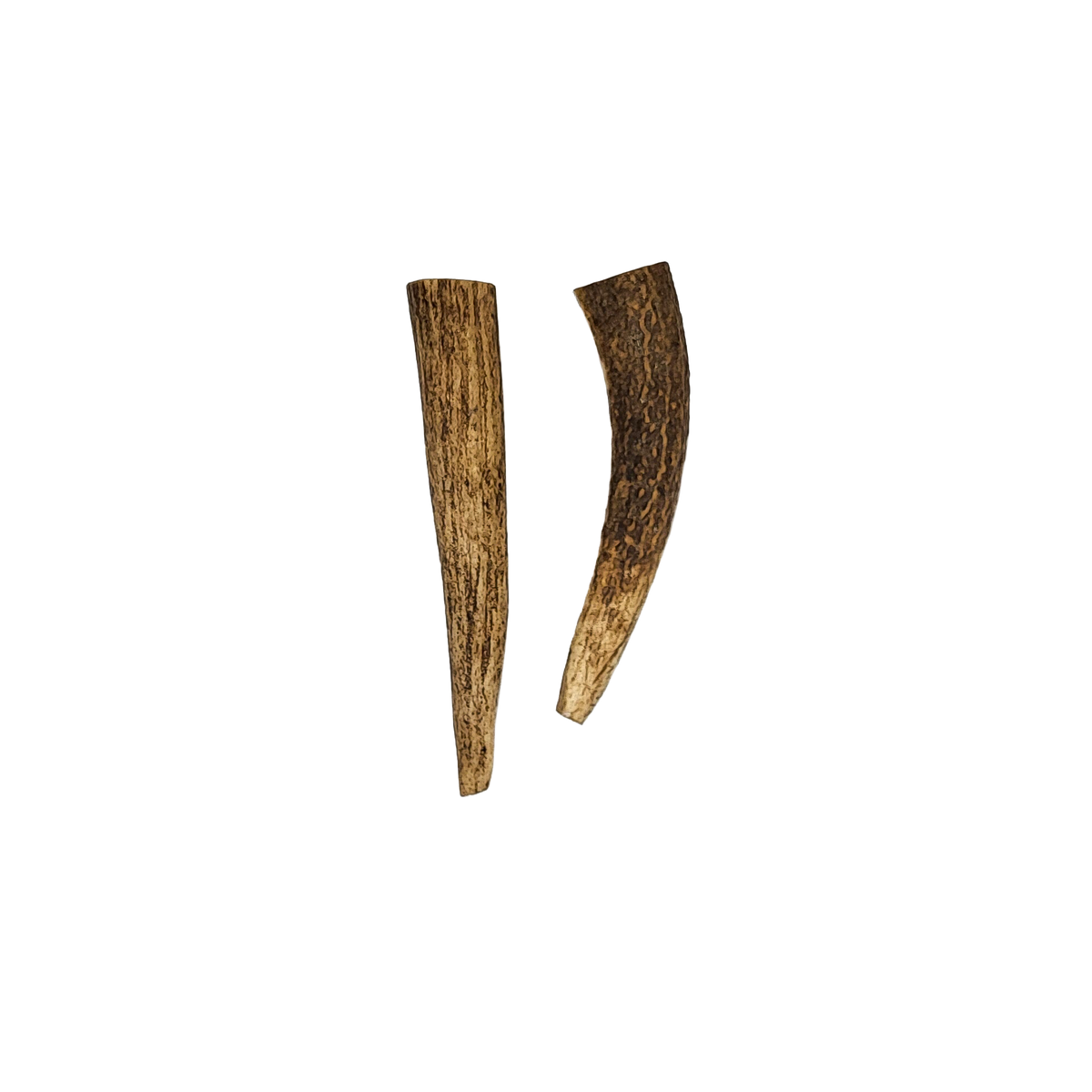 Small Twin Whole Antler Chew